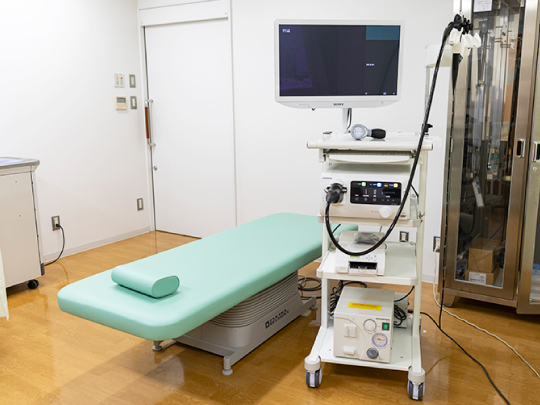 内視鏡（胃カメラ）